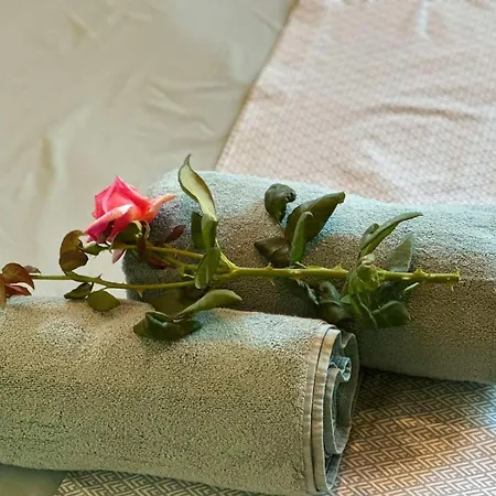 Nestoras Castle Vila *